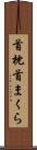 首枕 Scroll