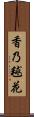 香乃毬花 Scroll