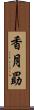 香月勗 Scroll