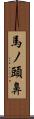馬ノ頭鼻 Scroll