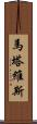 Martavis Scroll