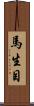 馬生目 Scroll