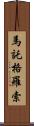 馬託格羅索 Scroll