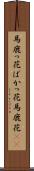 馬鹿っ花 Scroll