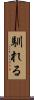 馴れる Scroll