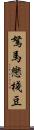 駑馬戀棧豆 Scroll