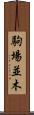 駒場並木 Scroll