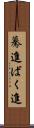 驀進 Scroll