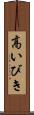 高いびき Scroll