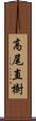 高尾直樹 Scroll
