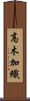 高木加織 Scroll