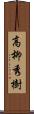 高柳秀樹 Scroll