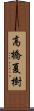 高橋夏樹 Scroll