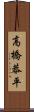 高橋恭平 Scroll