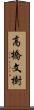高橋文樹 Scroll