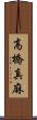 高橋真麻 Scroll