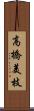 高橋美枝 Scroll
