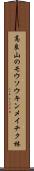 高良山のモウソウキンメイチク林 Scroll