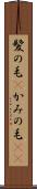 髪の毛(P) Scroll