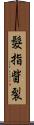 髮指眥裂 Scroll