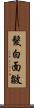 髮白面皺 Scroll