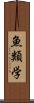 魚類学 Scroll