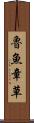 魯魚章草 Scroll