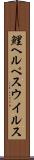 鯉ヘルペスウイルス Scroll