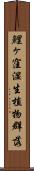 鯉ヶ窪湿生植物群落 Scroll