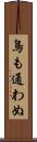 鳥も通わぬ Scroll