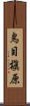 鳥目槇原 Scroll