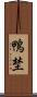 鴨埜 Scroll