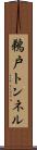 鵜戸トンネル Scroll