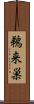 鵜来巣 Scroll