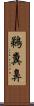 鵜糞鼻 Scroll