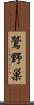 鷲野巣 Scroll