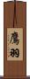 鷹羽 Scroll
