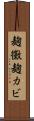 麹黴 Scroll