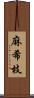 麻希枝 Scroll