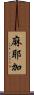麻耶加 Scroll