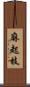 麻起枝 Scroll
