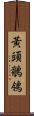 黃頭鶺鴒 Scroll