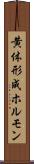 黄体形成ホルモン Scroll