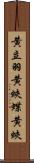黄立羽 Scroll