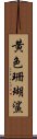 黄色珊瑚鯊 Scroll