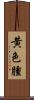 黄色腫 Scroll