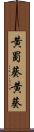 黄蜀葵 Scroll