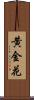 黄金花 Scroll