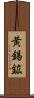 黄錫鉱 Scroll