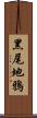 黑尾地鴉 Scroll